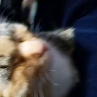 D-ta　長崎生まれ♪-逢いたくていま-MISIA