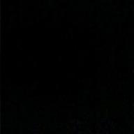 yuuuu-ニャースのパーティ-ニャース(犬山犬子)