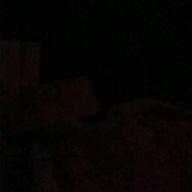 コマンダーたけし-いのちの名前-木村弓