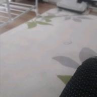 momo-ムーンライト伝説-DALI