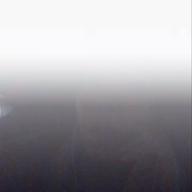 ちぃ11月20に🐣誕生-DICE-hide