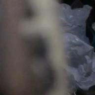 翔さんの従兄弟?-Ah Yeah!!-スキマスイッチ