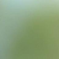 まいまい-Everything-MISIA