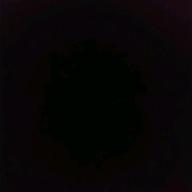 一歩二歩三歩四歩-Message-福山雅治