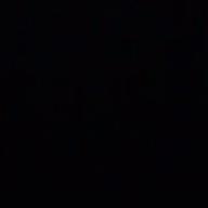 しいちゃん-七色シンフォニー-コアラモード.