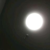 ローズちゃん-しるし-Mr.Children