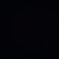 しろくま。-夜明けと蛍-n-buna