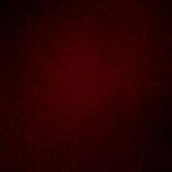 HIKARU-月光花-Janne Da Arc