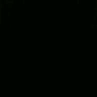 Main-シャルル-バルーン