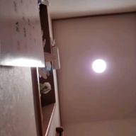 ぼた餅猫-ハナミズキ-一青窈