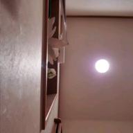 ぼた餅猫-366日-HY