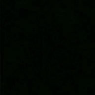 風黎愛@猫-うるわしきひと-いきものがかり