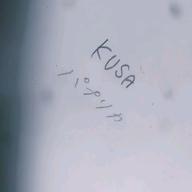 KUSA-パプリカ-Foorin