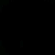 MULAN-パプリカ-Foorin