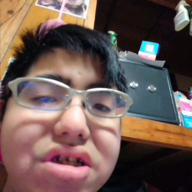 龍二くん-千本桜-WhiteFlame