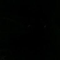 ユースケ-海の声-浦島太郎(桐谷健太)