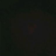 shien-春夏秋冬-Hilcrhyme