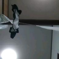 のんたん-PIECE OF MY WISH-今井美樹