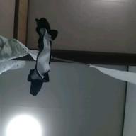 のんたん-夏の日の1993-class