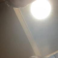 なおけるスコフィールド㊗️-メロディー-玉置浩二