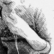 BONNY-残酷な天使のテーゼ-高橋洋子