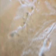 猫山こう♪-帰ってきたウルトラマン-団次郎/みすず児童合唱団