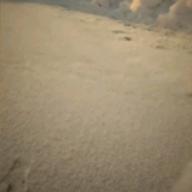 猫山こう♪-みんながみんな英雄-AI