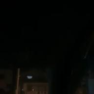 モンキーゴリラ-シャルル-バルーン