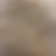 ももきち-ボーイフレンド-aiko