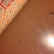 りんご果汁77%-夜明けと蛍-n-buna