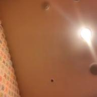 りんご果汁77%-宵々古今-REOL