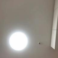 daisy-えりあし-aiko