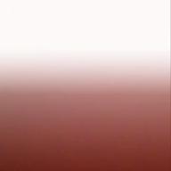 とみぃ🐢アニソン周りメイン🐢-ワンダーステラ-fhana