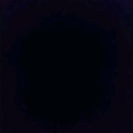 りんか🐰-夜明けと蛍-n-buna