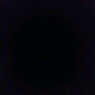 りんか🐰-ウミユリ海底譚-n-buna