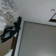 りんたん-1/2の神話-中森明菜