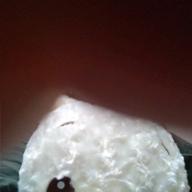 chimimi-未完成-家入レオ