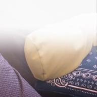 ぴぴぴぴ-FIRE BIRD-Roselia