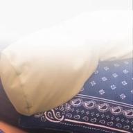 ぴぴぴぴ-ゴーカ!ごーかい!? ファントムシーフ!-ハロー、ハッピーワールド!