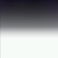 8738-白日-King Gnu