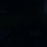 🐮なおなお🐮-紅蓮華-LiSA