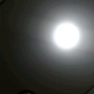 リオン マグナス-くるみ-Mr.Children