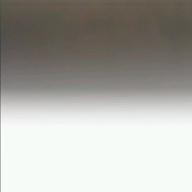 8738-おとなの掟-Doughnuts Hole