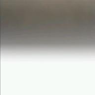 8738-レディーレ-バルーン