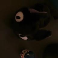 あさなぎ-HAPPY BIRTHDAY-back number