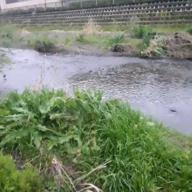 美空　涼-恋を知らない君へ-NEWS