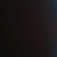 いとうさん-カブトムシ-aiko