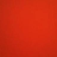 とみぃ🐢アニソン周りメイン🐢-Rising Hope-LiSA