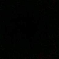 NSさん👤-カブトムシ-aiko