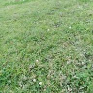 madokafu-春よ、来い-松任谷由実